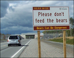 Please do not feed the bears sign